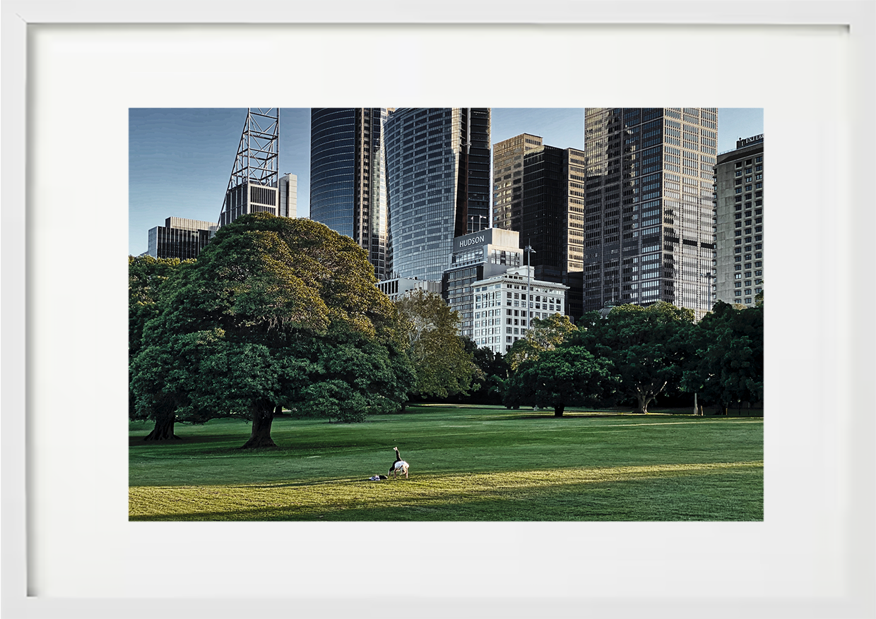 Royal Botanic Garden, Sydney, 2020