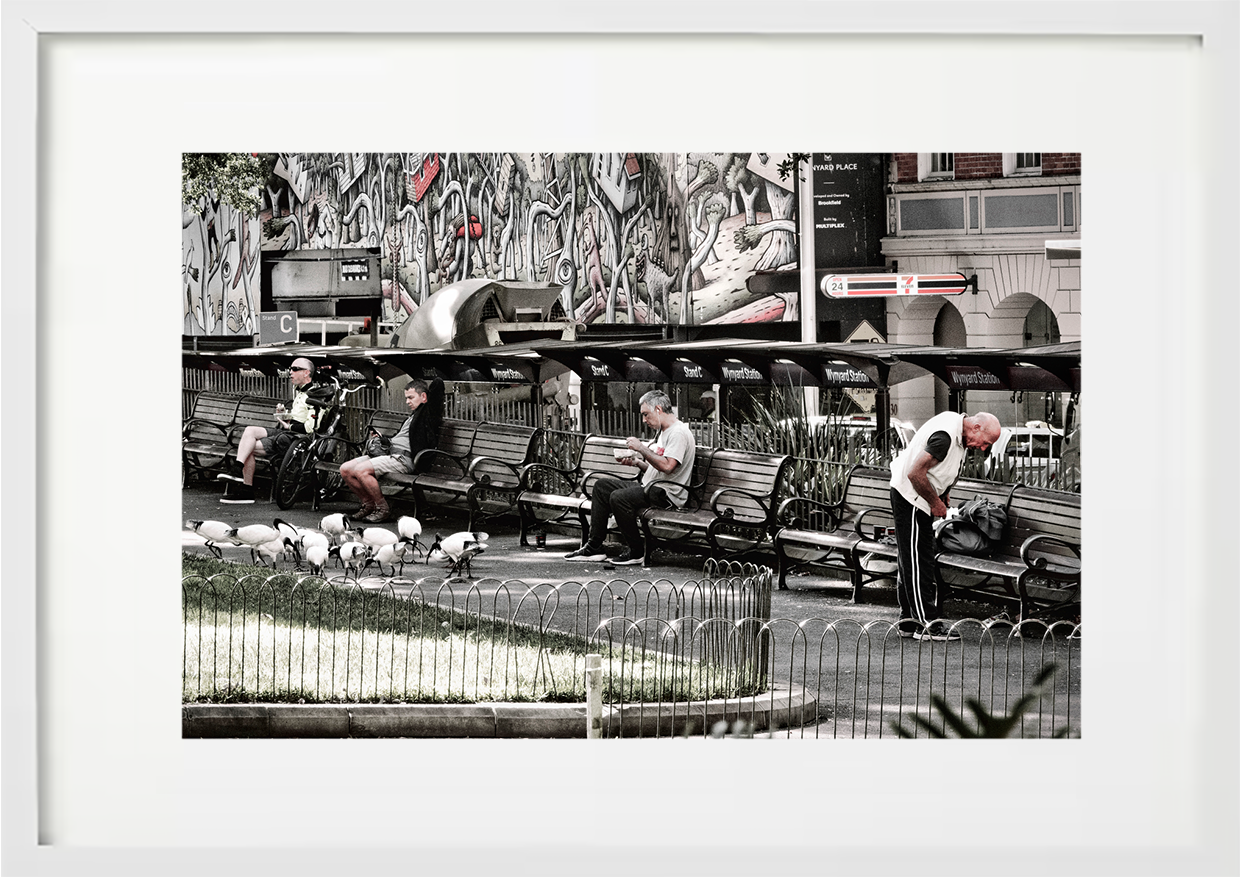 Wynyard Park, Sydney CBD, 2020